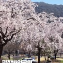 평창4교 - 평창군 | 평창4교