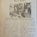 "봉침으로 병고친다" 이미지
