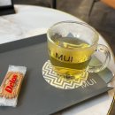 그날헤어미용실 | 펌,염색으로 상한머리 미용실헤어클리닉 후기 강남 무이