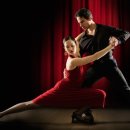 The Fit (더 피트) 이미지