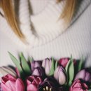 양천행정사 이미지