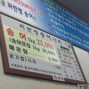 피반령송어나라 이미지