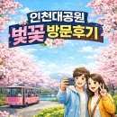 인천대공원(정문) | 2026 인천대공원 벚꽃 실전 방문 후기: 주차부터 숨은 포토존까지 완벽 가이드