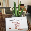 김양커피