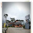 터사랑