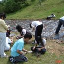 순복음목장 이미지