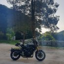 에스피디젤 이미지