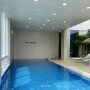 쉬오트애견풀빌라 이미지