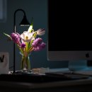 주식회사 루아 이미지