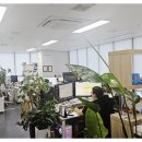 모아세무회계
