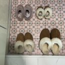 베러키즈풀빌라