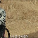 강호농약사 이미지