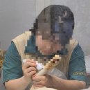 대구 고양이 미용 밀꼬냥 | 대구 고양이 미용 밀꼬냥 고양이 목욕한날