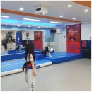 경희대 석사 세심 태권도 이미지