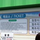 블루25워터파크(삼락야외수영장) 이미지