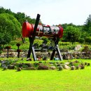 해바라기-청춘(1) 이미지