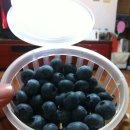 금봉 농장 이미지