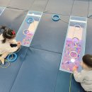 나를 위한 꽃한다발+리스 | 61. 김해 숙소 국립 용지봉 자연휴양림 2회차 방문 및 주변 여행지 후기