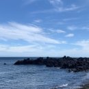 심지방코지 이미지