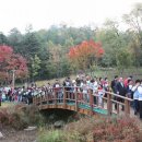 일자산 자연공원 이미지