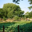 평택호정원 이미지