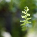 금난의 집 이미지