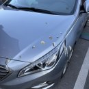 스피드메이트이케아고양점 | 소낙스 카케어 이케아 고양점 손세차 스팀세차 후기