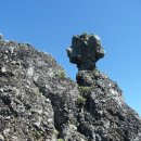 행여나목장 이미지