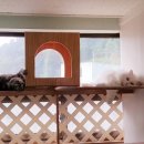 묘랑 고양이 전문호텔 이미지