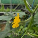 거운농장 이미지