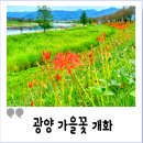 전남도립미술관 화장실 이미지