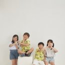 토마토사진관