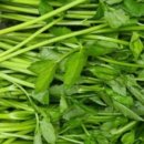 한골농장 이미지