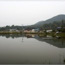 돌우물 Daum카페