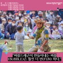 펀 앤 버블 이미지