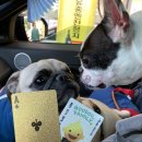 장암주유소 이미지