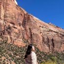 하이하늘민박 | 미국 라스베가스 여행 비용 관광 코스 11월 12월 겨울 날씨