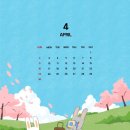 바른카센타 이미지