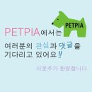 펫피아 동물병원 이미지