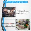 가두리푸드