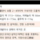 백두조경