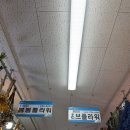 포브(FORVE) 이미지