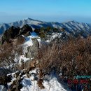 각호산과 민주지산 및 석기봉까지 심설 산행 후기 이미지