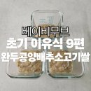 [초기이유식 9편] 완두콩양배추소고기쌀죽 7배죽 베이비무브 레시피 | 완두콩 큐브 | 6개월 아기