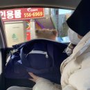 호두데이 이미지