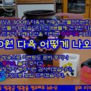 영광다육