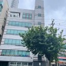더지니어스영어학원 | (수성구 영어 유치원 입학 상담 후기 5편) 지니랜드 & 더지니어스 어학원