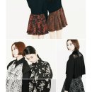 스프링크로커스