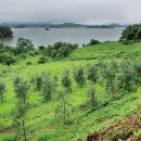 혁진농장 이미지