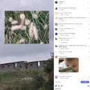 삼지기획 | [아임낫서울] 브랜드 일지 6화 / 리딩파티 in 춘천 - 기획부터 후기까지